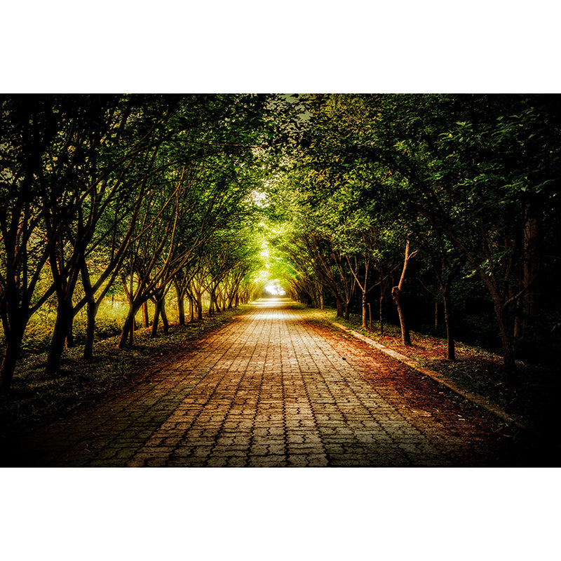 Horizontal Photography Space Extension Mural Wallpaper Eco-friendly for Home Decor