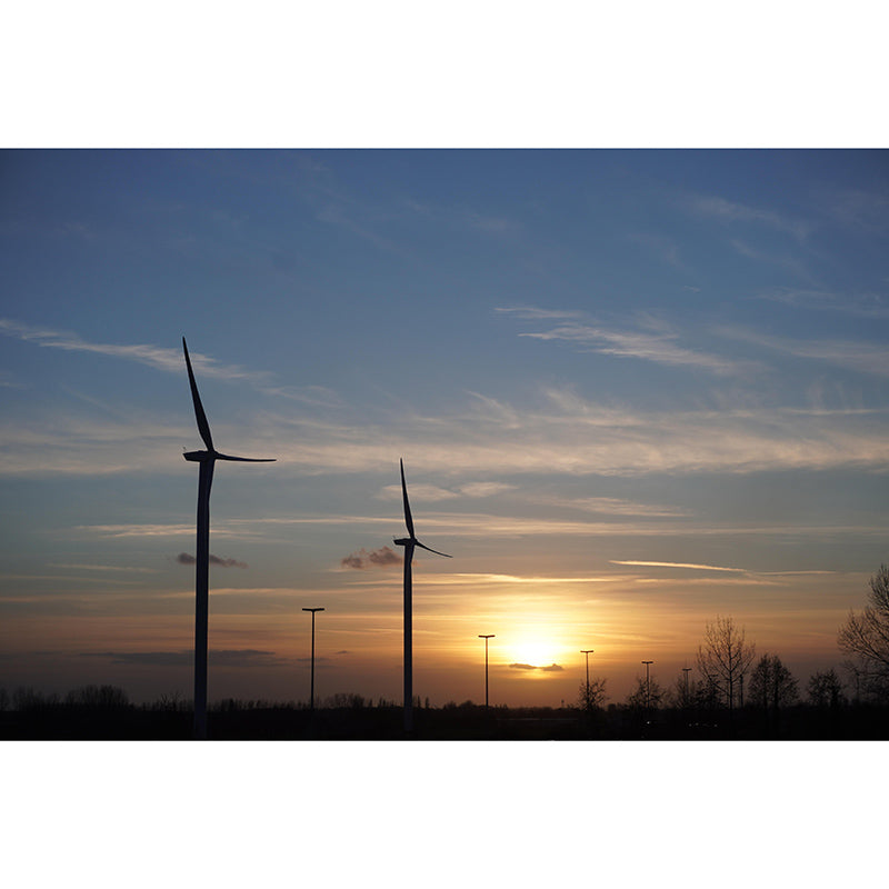 Environment Friendly Windmill Wall Mural Wallpaper Eco-friendly for Room