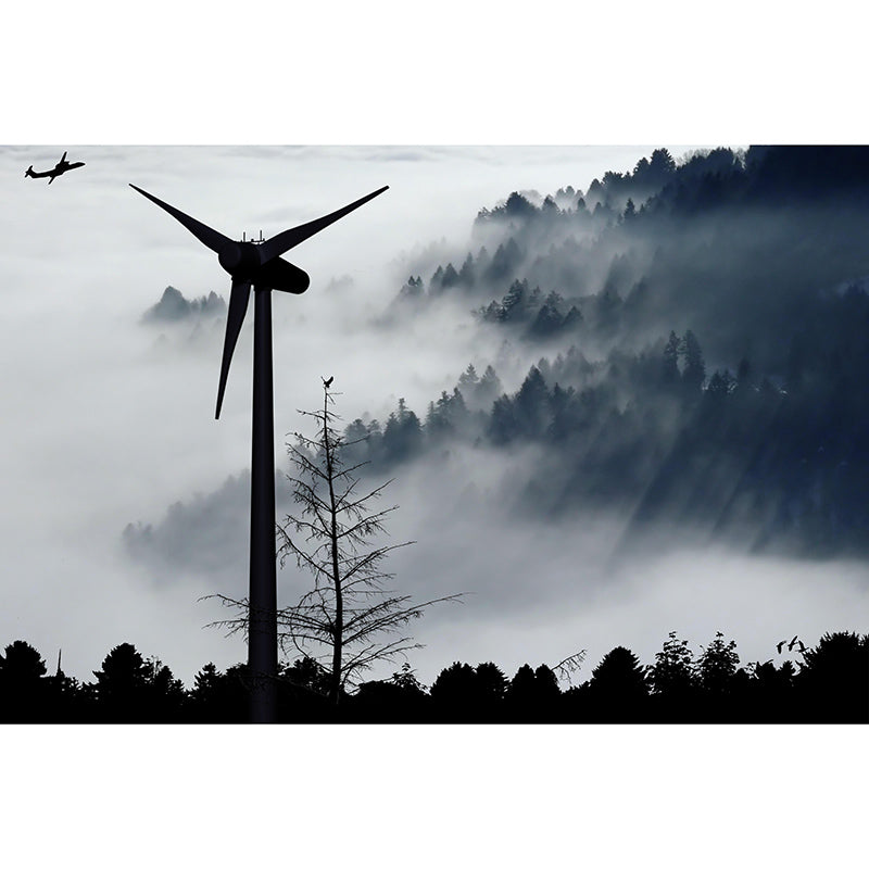 Horizontal Photography Windmill Mural Wallpaper Eco-friendly for Room