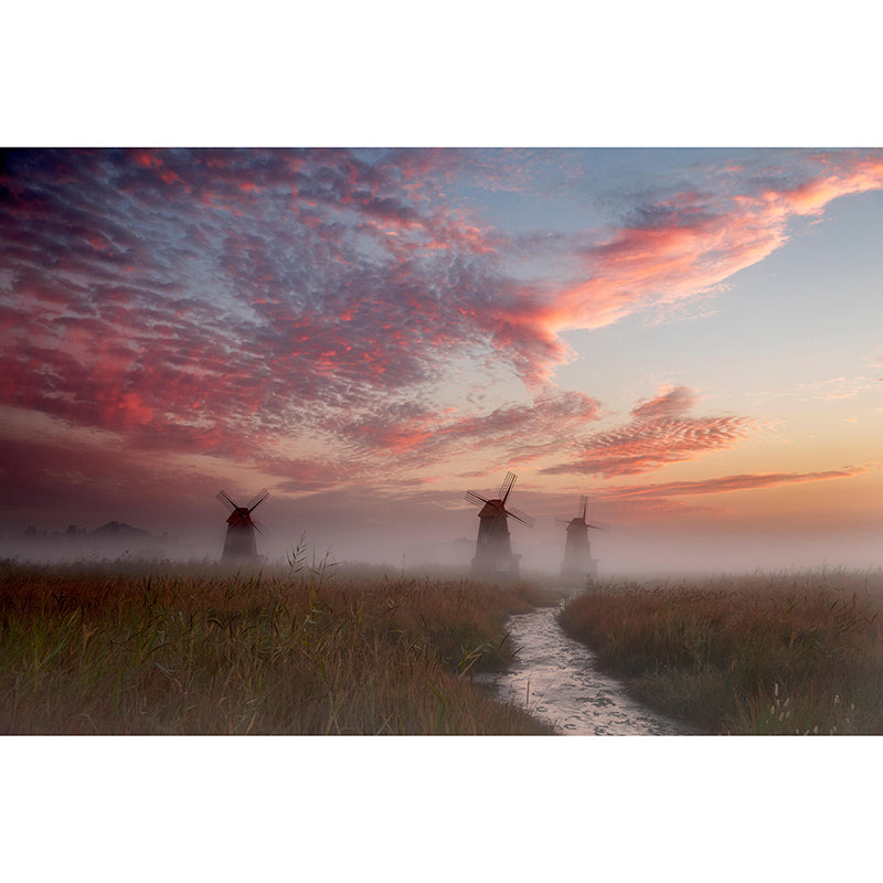 Windmill Photography Wall Mural Wallpaper Eco-friendly for Sitting Room