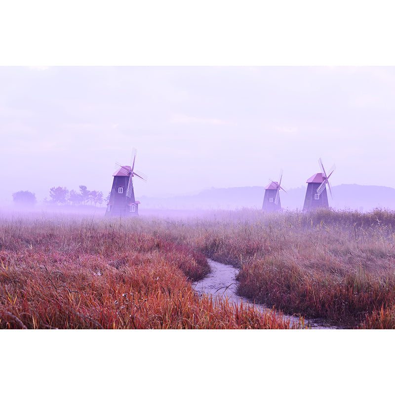 Photography Windmill Mural Wallpaper Eco-friendly for Sleeping Room