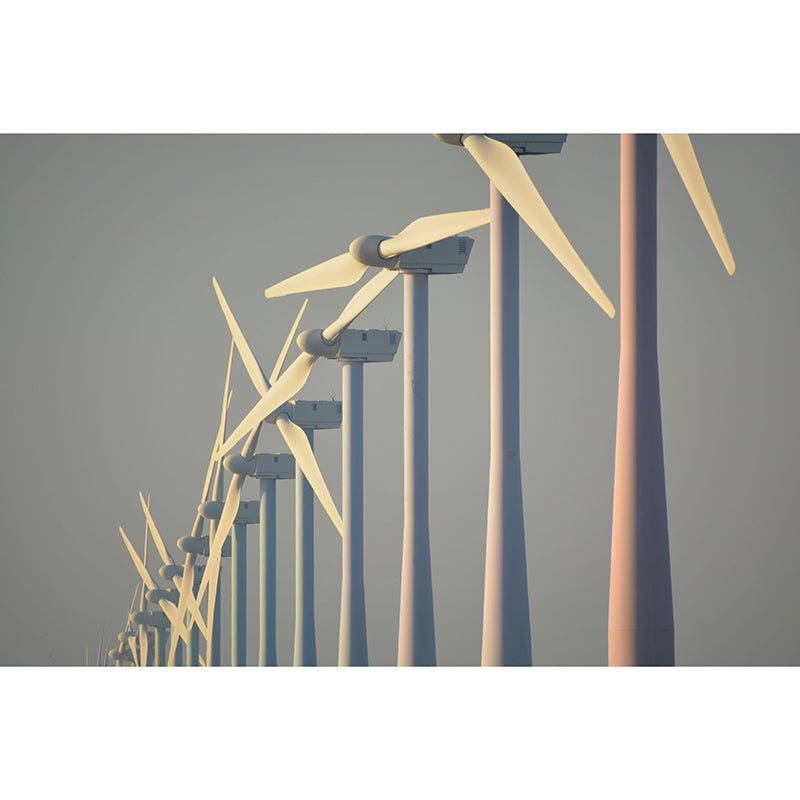 Horizontal Photography Windmill Wall Mural Wallpaper Eco-friendly for Sleeping Room