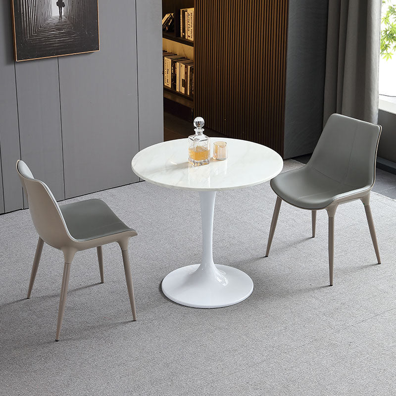 Silla de comedor de metal contemporáneo, sillas de comedor de cuero para uso doméstico