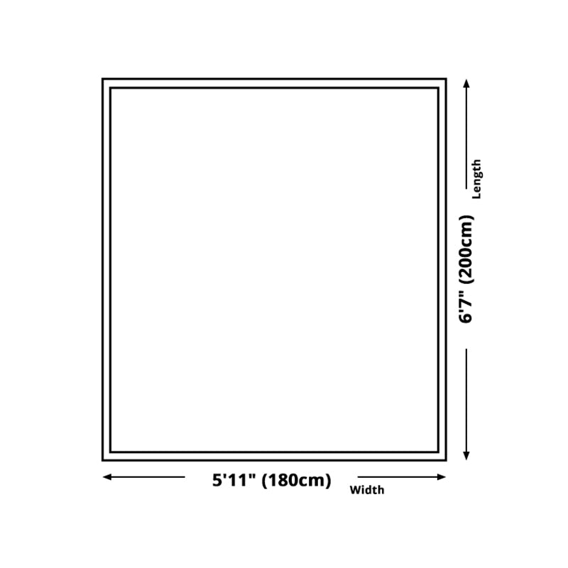 Modern Underwater World Animals Rug Area Rug Polyester Anti-Slip Backing Rug