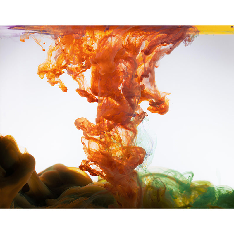 Mildew Resistant Ink Fusion Murals Contemporary Wall Murals for Home