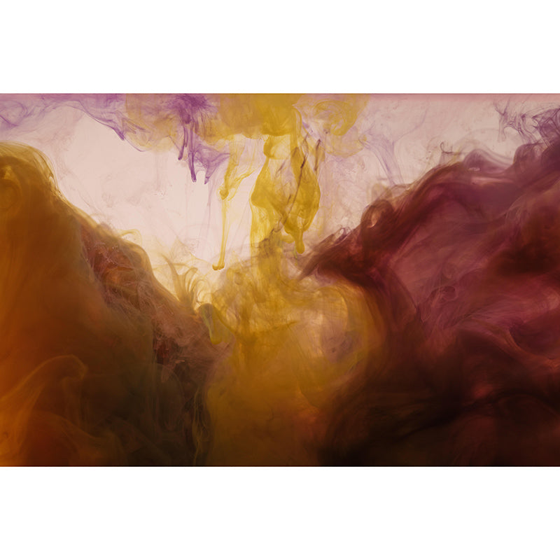 Contemporary Ink Fusion Murals Wallpaper Mildew Resistant Wall Murals for Home