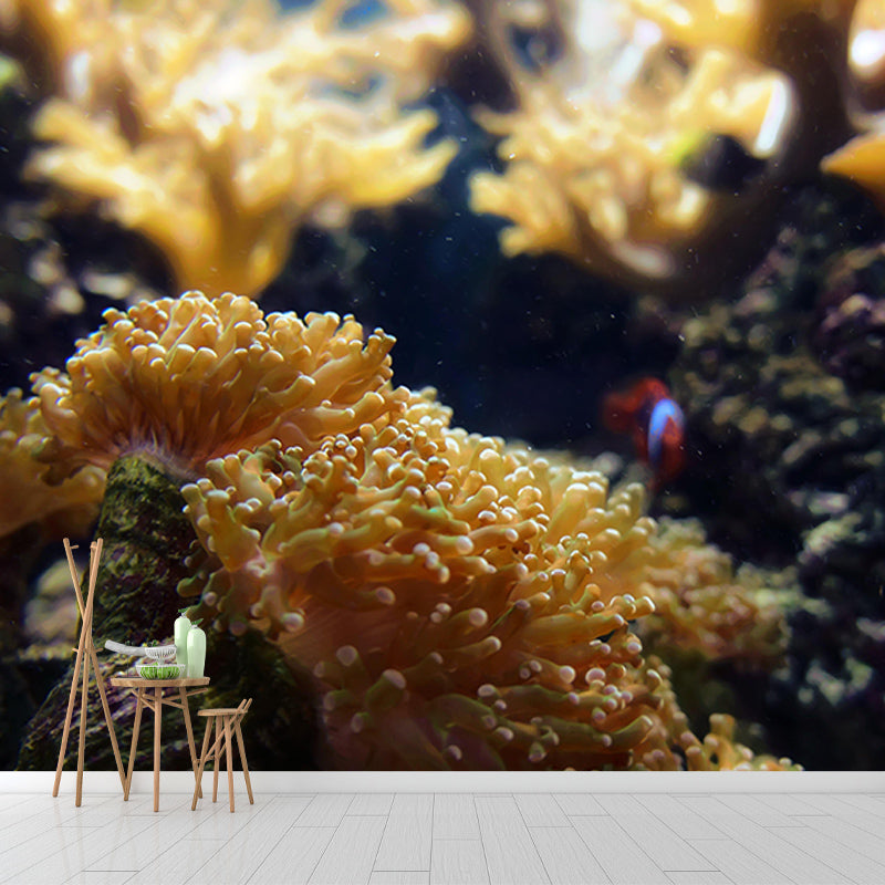 Seabed Wall Murals Wallpaper Mildew Resistant Wall Murals for Home