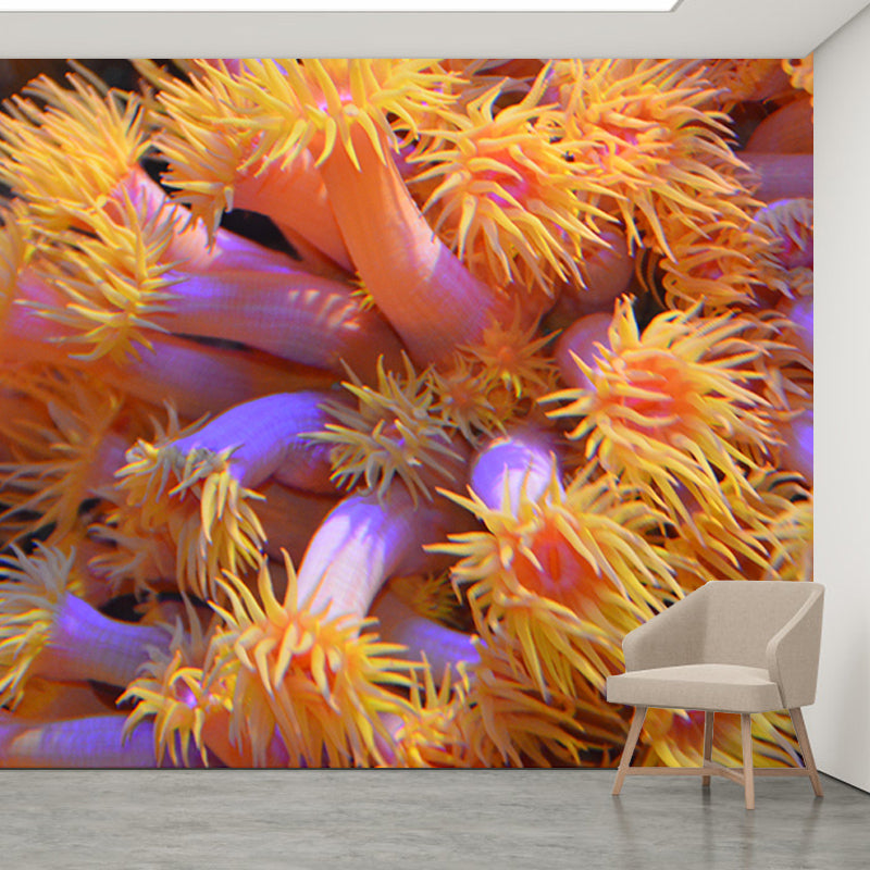 Seabed Photography Wall Murals Wallpaper Mildew Resistant Wall Murals for Bathroom