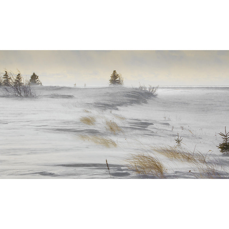 Illustration Painting Wall Murals Wallpaper Mildew Resistant Wall Murals for Room