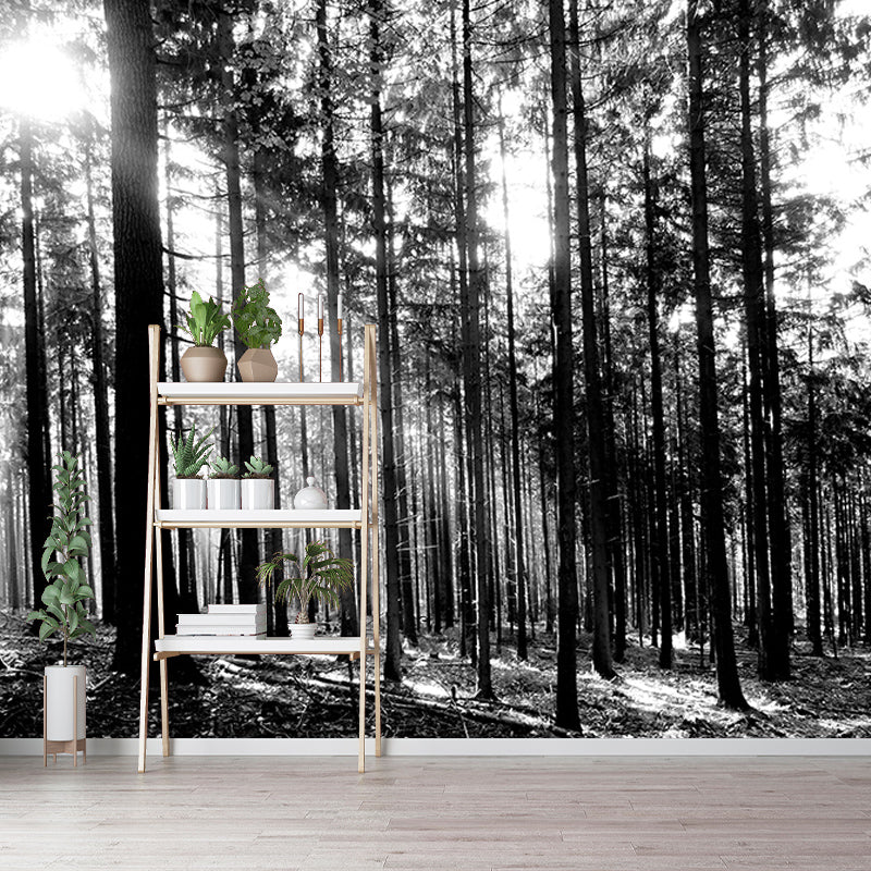 Modern Forest Wall Mural Decorative Eco-friendly Wall Covering