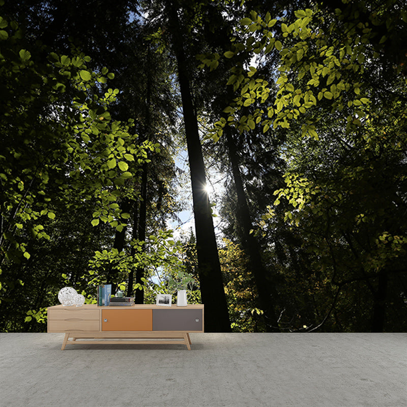 Customized Forest Mural Modern Decorative Eco-friendly Wall Art