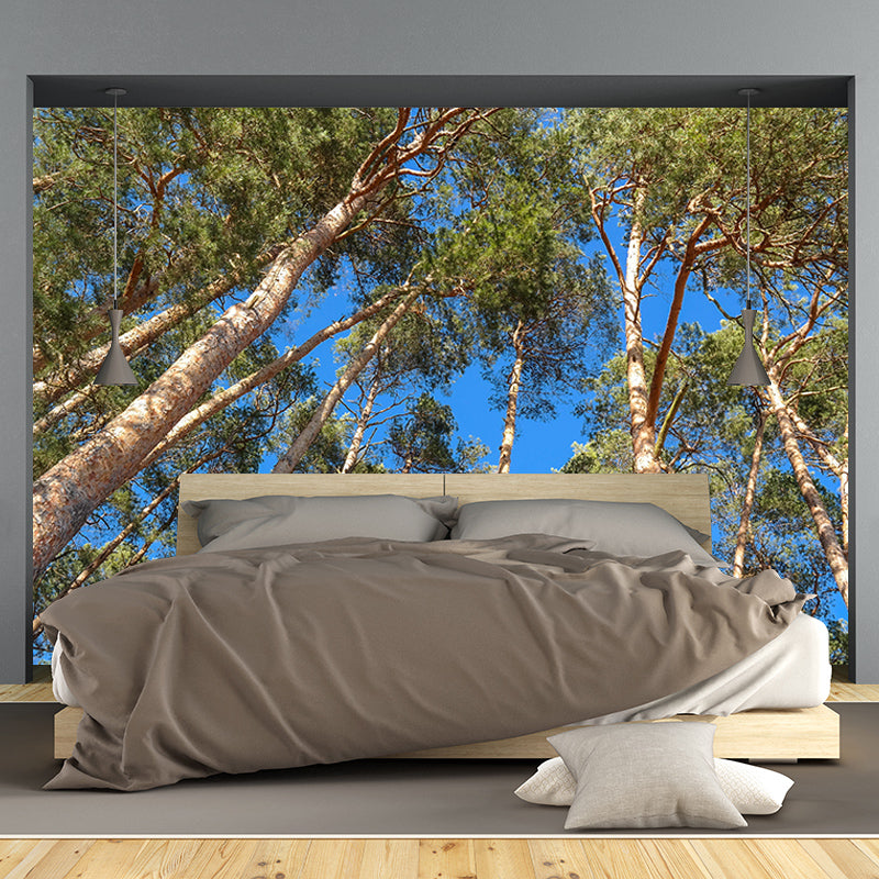 Modern Style Wall Mural Forest Decorative Eco-friendly Wall Art