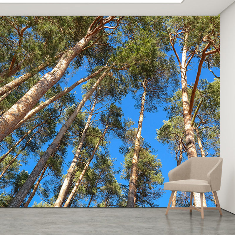 Modern Style Wall Mural Forest Decorative Eco-friendly Wall Art