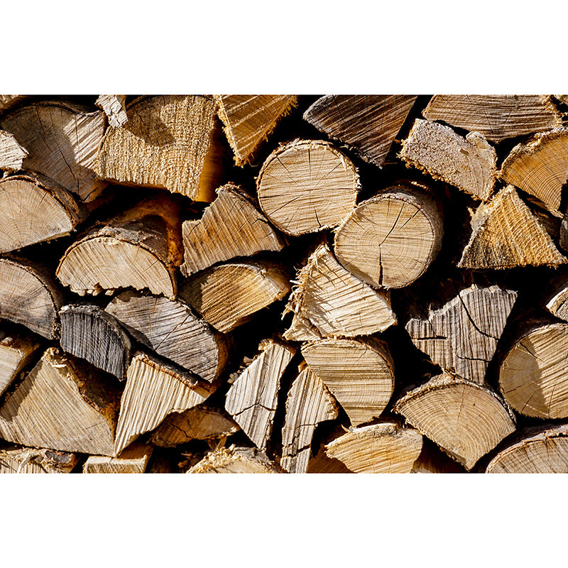 Light Color Wood Texture Mural Industrial Decorative Eco-friendly Wall Art