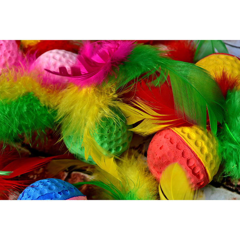 Mildew Resistant Wall Mural Wallpaper Modern Bird Feather Wall Decor