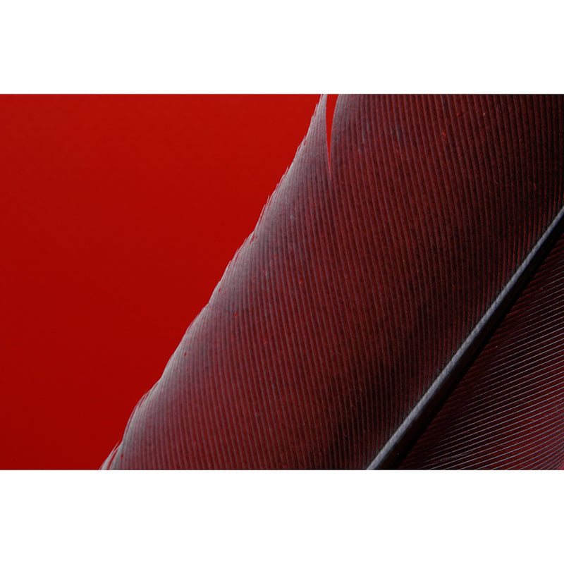 Bedroom Feather Wall Mural Wallpaper Modern Mildew Resistant Wall Decor