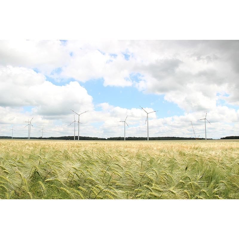 Customized Windmill Mural Wallpaper Small Town Mildew Resistant Wall Decor