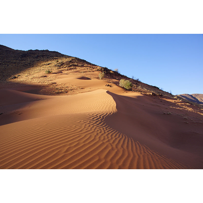 Bathroom Wallpaper Mural Modern Desert Mildew Resistant Wall Decor