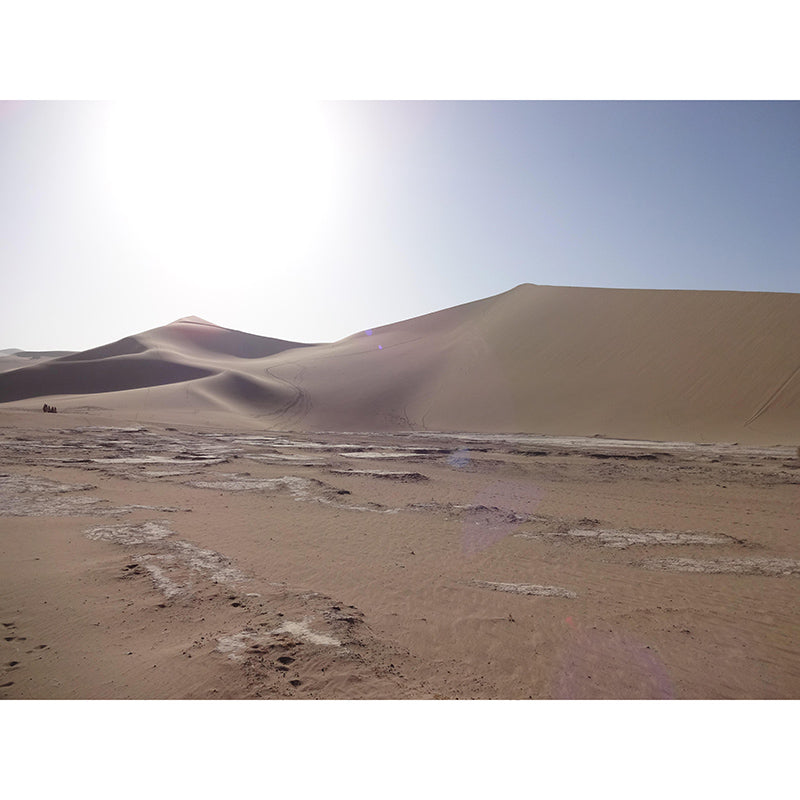 Modern Style Desert Mural Wallpaper Mildew Resistant Wall Decor