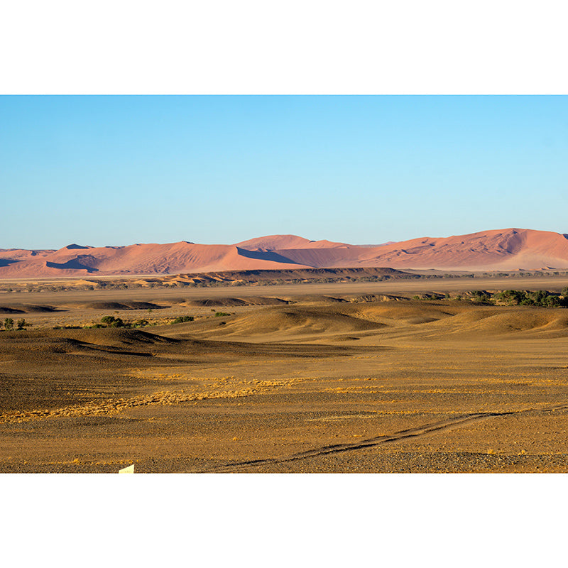 Modern Desert Mural Wallpaper Mildew Resistant Bedroom Wall Decor