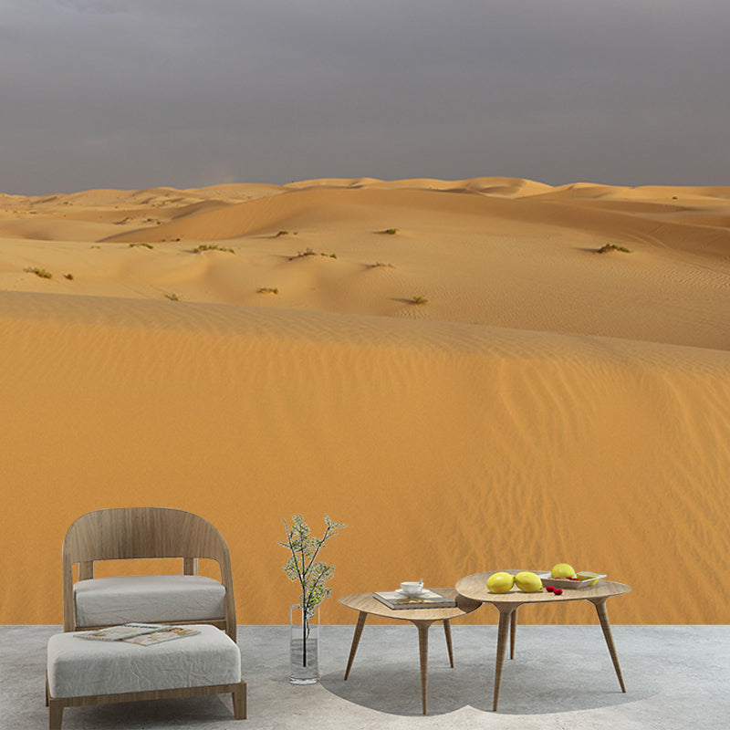 Modern Desert Mural Wallpaper Mildew Resistant Bedroom Wall Decor
