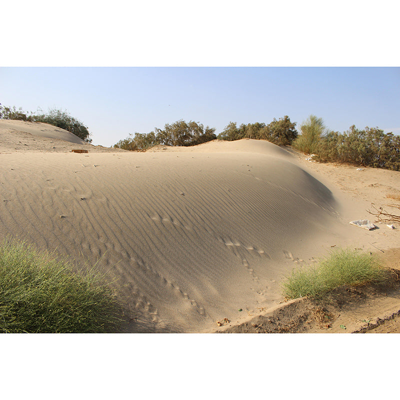 Customized Mural Wallpaper Modern Desert Mildew Resistant Wall Decor