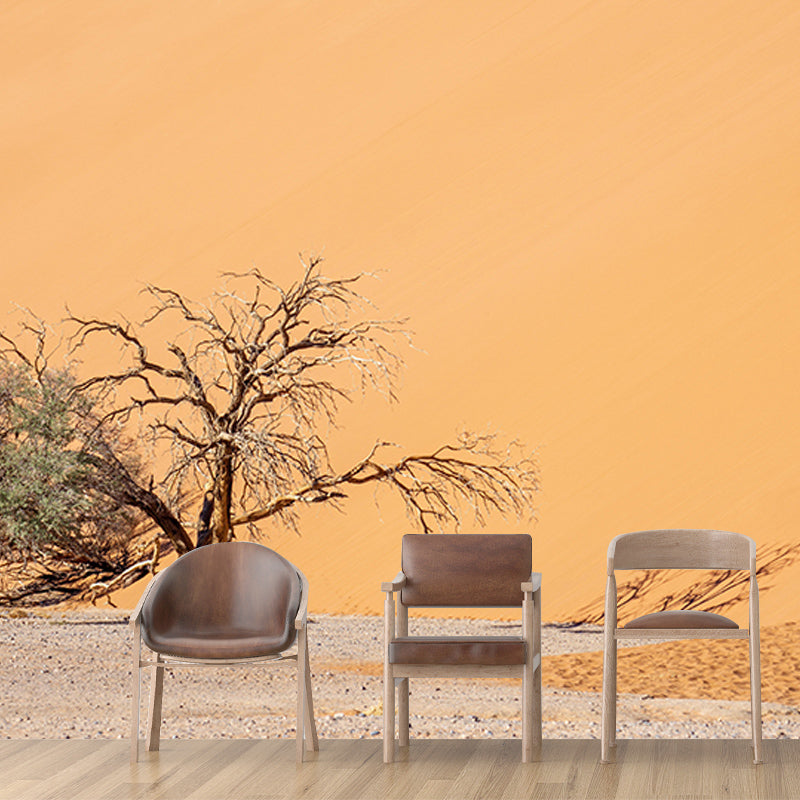 Room Wall Mural Wallpaper Modern Desert Mildew Resistant Wall Decor