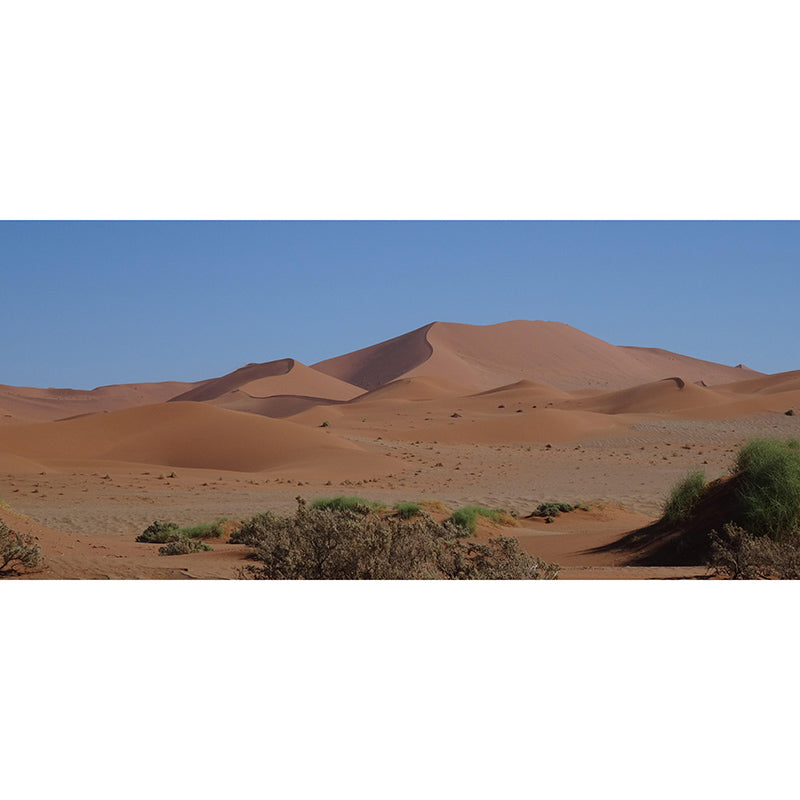 Room Wall Mural Wallpaper Modern Desert Mildew Resistant Wall Decor