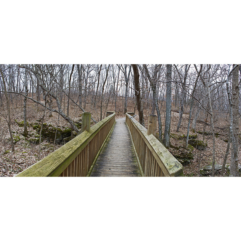 Home Decor Space Extension Mural Photography Decorative Mural