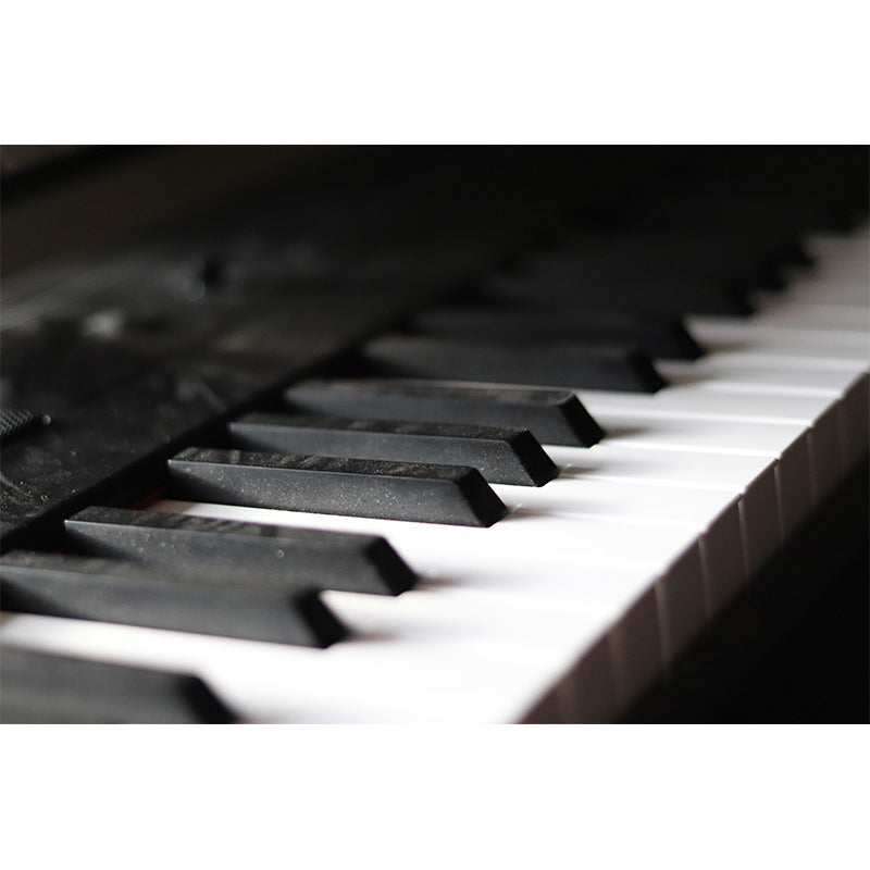 Customized Piano Mural Photography Decorative Environment Friendly Wall Art
