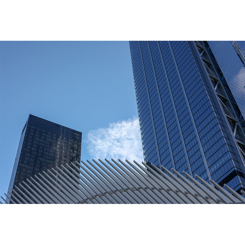 Eco-friendly Mural Architecture Decorative Horizontal Photography for Home