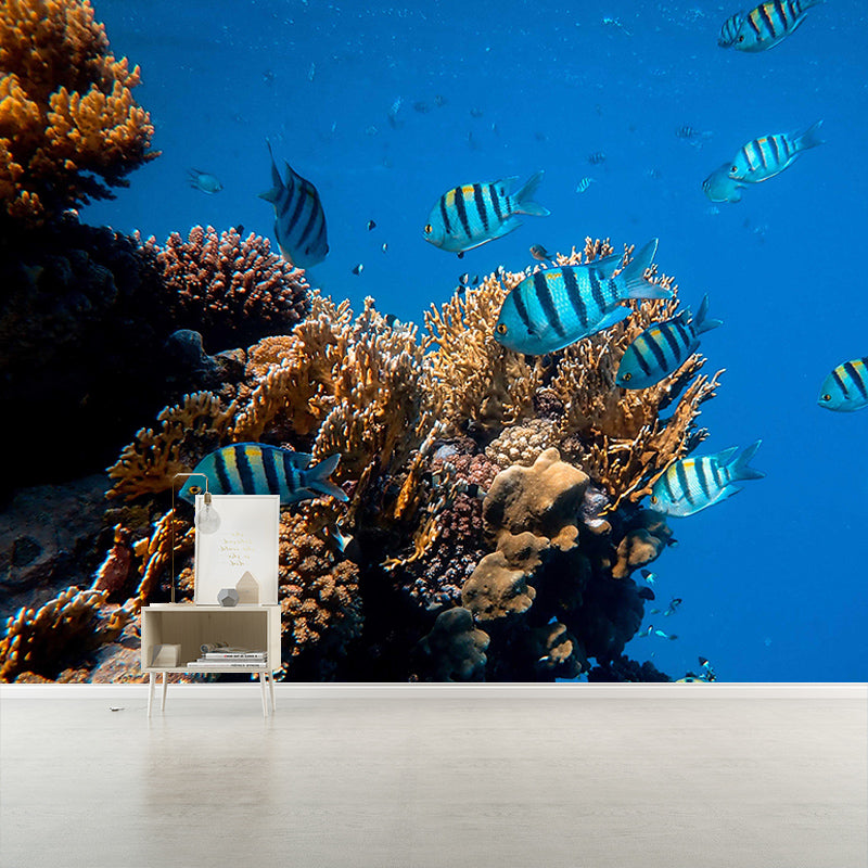 Undersea Photography Mural Decorative Eco-friendly for Decoration
