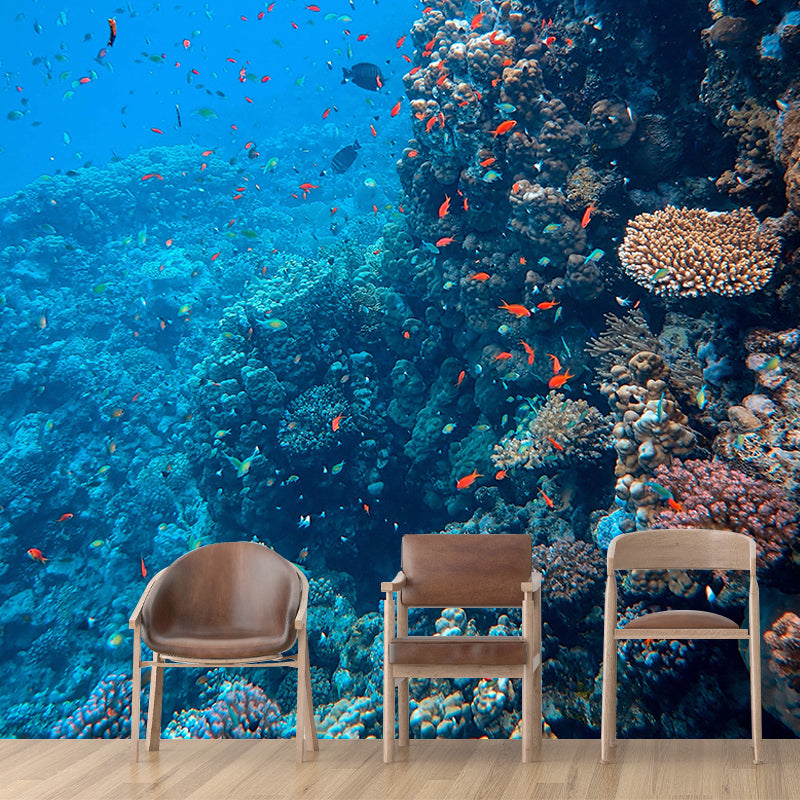 Undersea Mural Horizontal Photography Decorative Environment Friendly for Home Decor