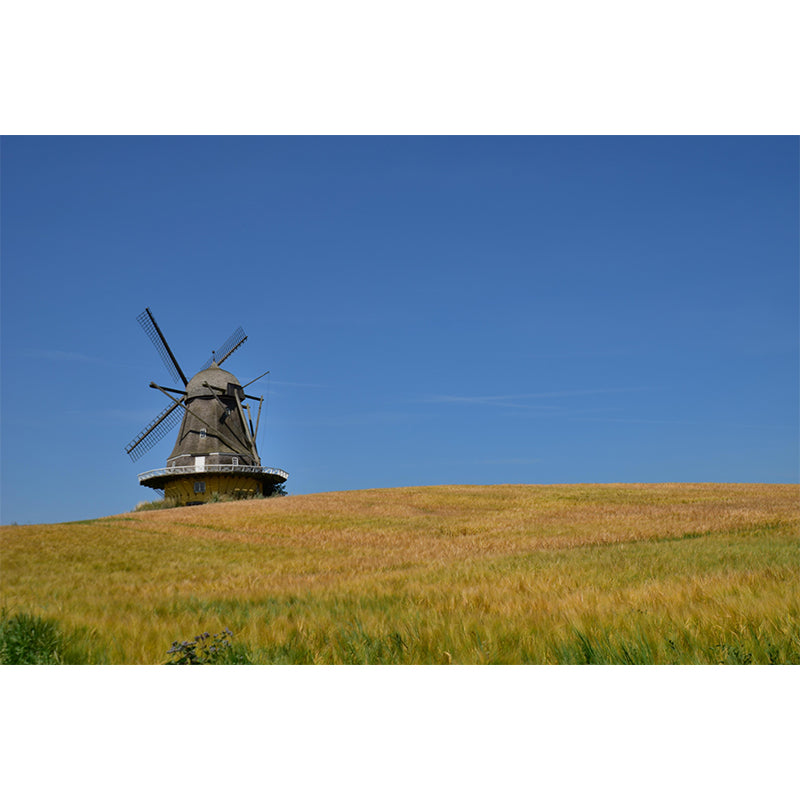 Big Windmill Mural Wallpaper Sitting Room Wall Mural in Light Color