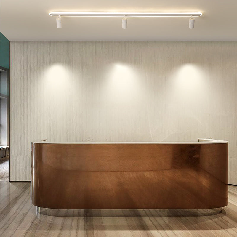 LED Flush Mount Ceiling Lighting with Spotlights Modern Ceiling Mounted Lights