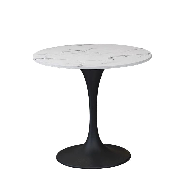 Modern 1/2/5 Pieces Sintered Stone Dining Set Dining Furniture Set /Separate Items