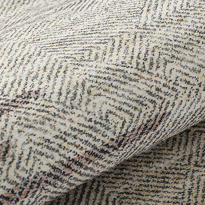 Gray Modern Area Rug Polyester Abstract Graphic Rug Washable Rug for Living Room