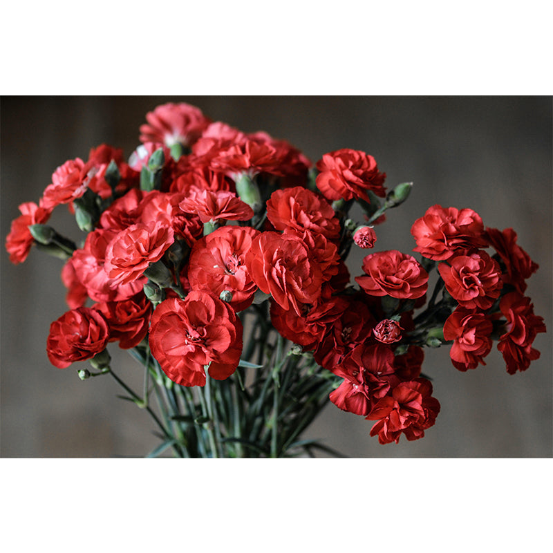 Beautiful Flower Wall Murals Environment Friendly Decorative Room Wall Murals