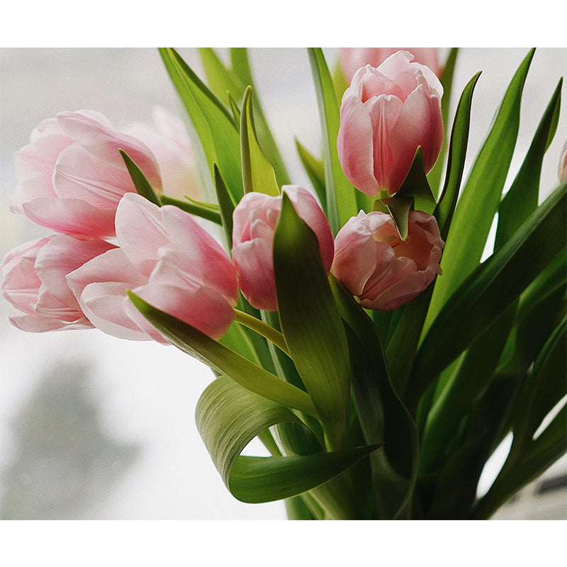 Eco-friendly Decorative Flower Murals Dining Room Wall Murals