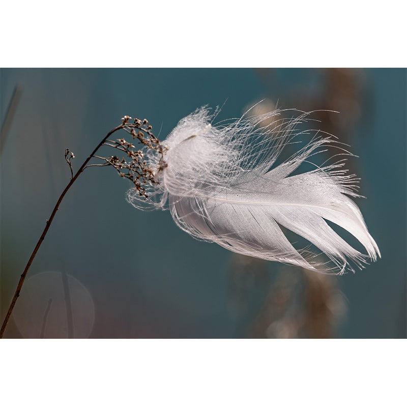 Environment Friendly Decorative Murals Feather Living Room Wall Murals