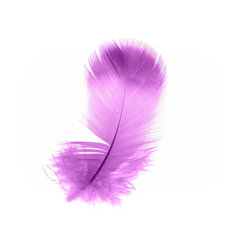 Photography Style Feather Decorative Murals Room Wall Murals