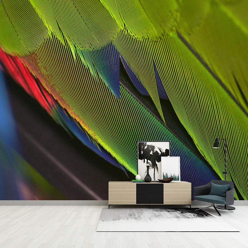 Photography Style Feather Decorative Murals Room Wall Murals