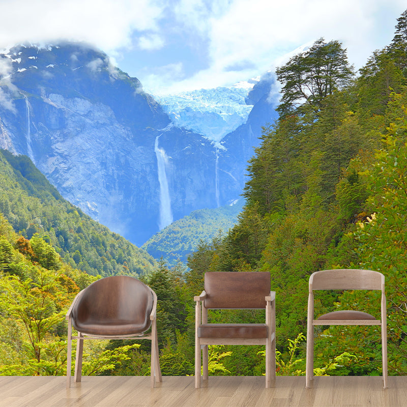 Environment Friendly Decorative Murals Forest Wall Murals for Home