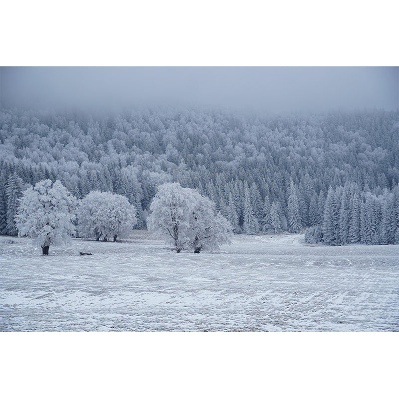 Customized Forest Decorative Murals Sleeping Room Wall Murals Wallpaper