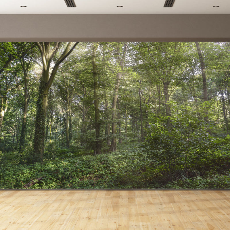 Environment Friendly Decorative Murals Forest Sitting Room Wall Murals Wallpaper
