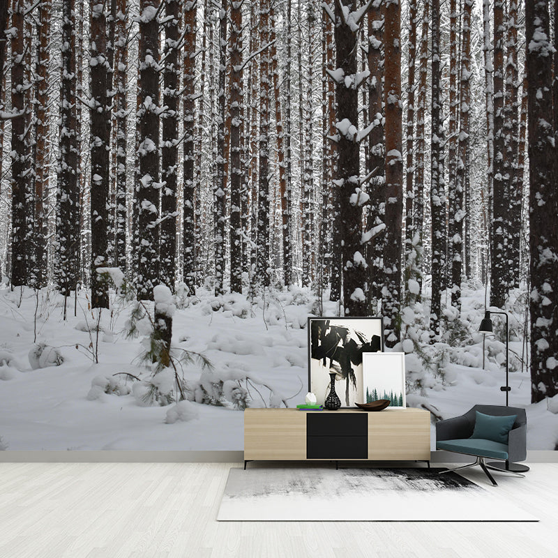 Contemporary Decorative Murals Forest Sitting Room Wall Murals