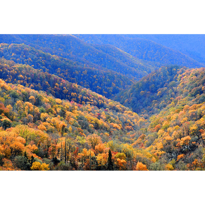 Forest Mildew Resistant Decorative Murals Bedroom Wall Murals