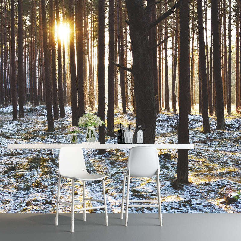 Environment Friendly Decorative Murals Forest Room Wall Murals Wallpaper