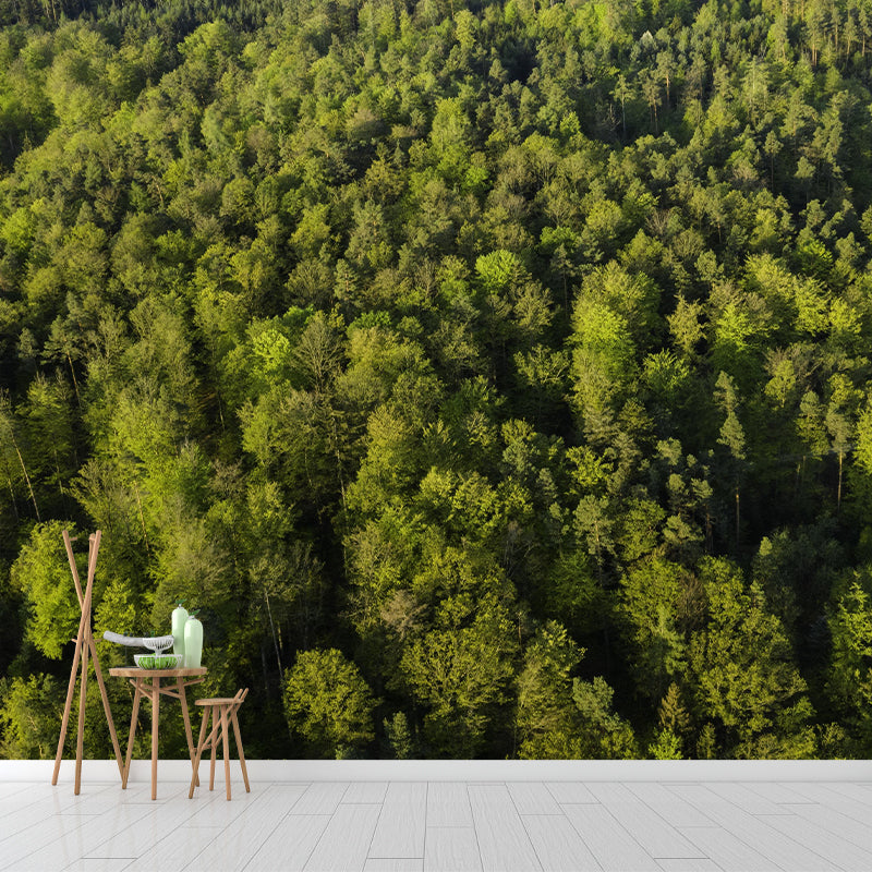 Dining Room Customized Decorative Murals Forest Wall Murals Wallpaper