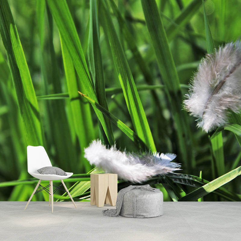 Photography Bird Feather Mural Eco-friendly Decorative Wallpaper Wall Decor